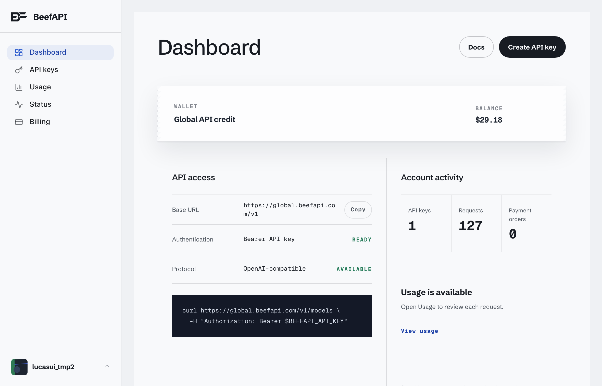 BeefAPI console dashboard with balance, API access, and setup steps